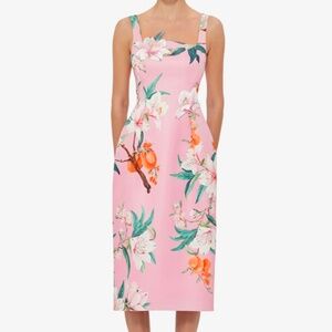 Leo Lin 'Larissa' Midi Dress in Lavish Print in Pink (NWOT)